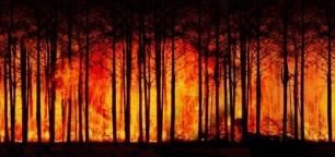 Cambiamenti climatici